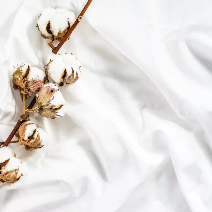Co to znaczy 100% cotton?