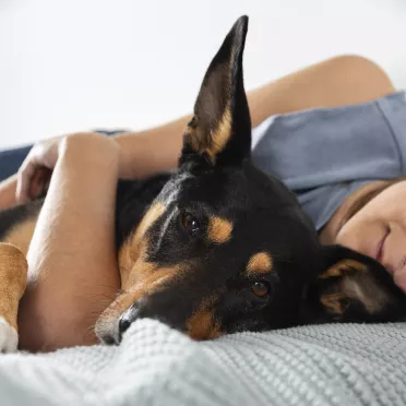Jak oduczyć psa spania w łóżku?