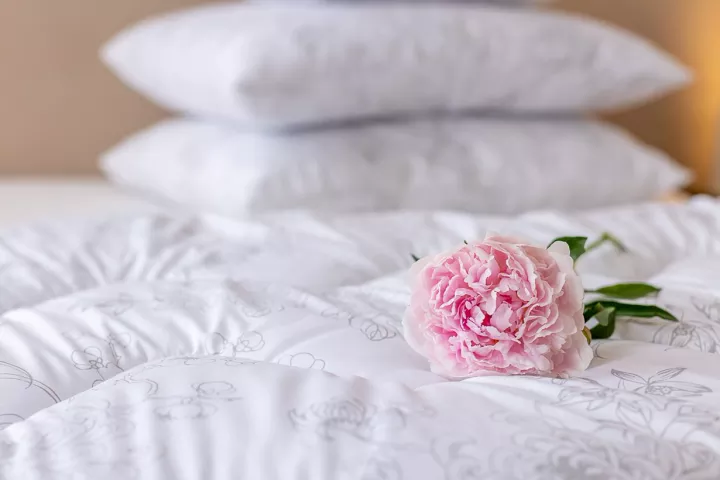 Poduszka Blommenslyst 70x80 na łóżku z różą