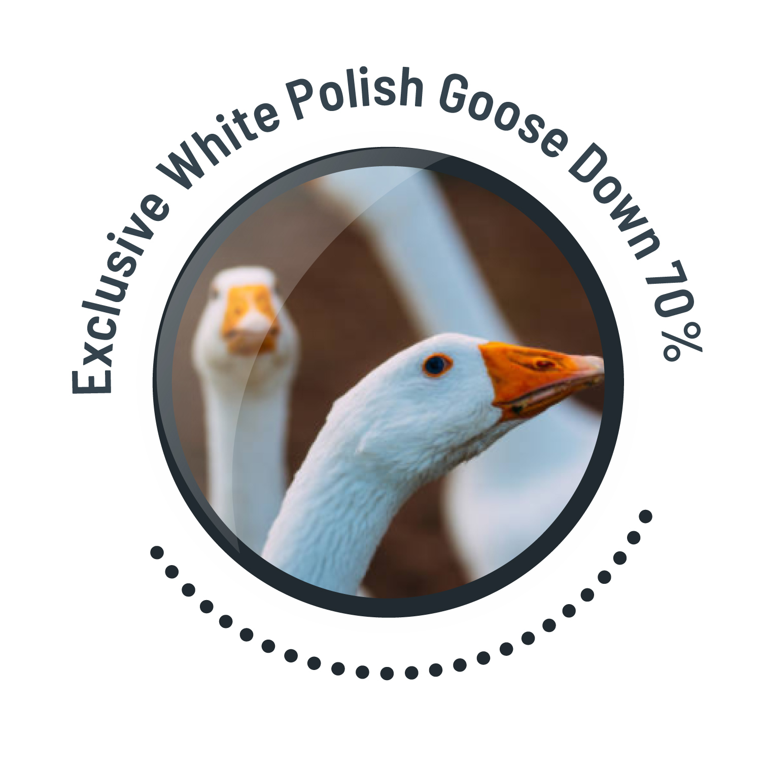 atest polski puch 70%